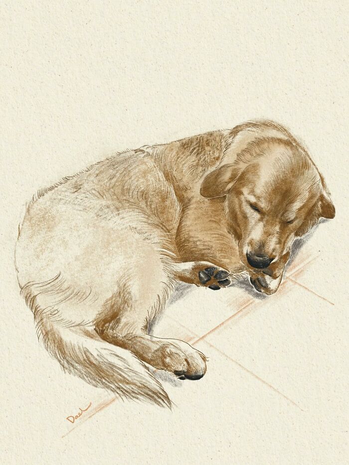 This Artist Draws Dog Portraits That Perfectly Capture Each Pet’s Personality (76 Pics)