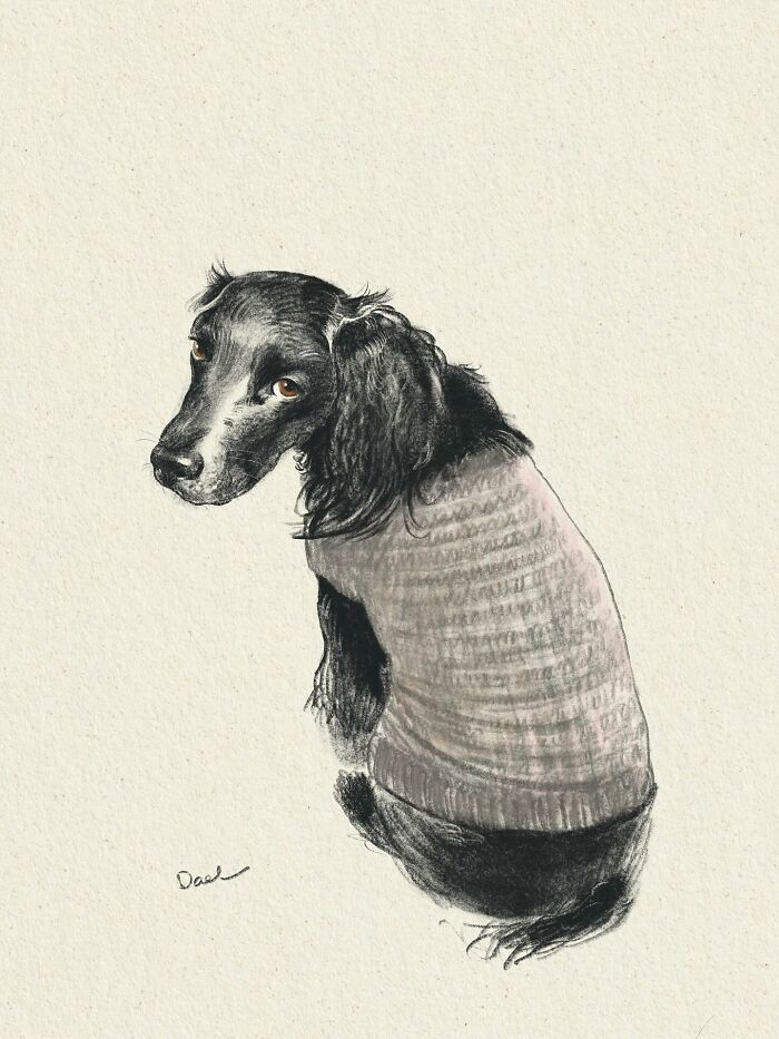 This Artist Draws Dog Portraits That Perfectly Capture Each Pet’s Personality (76 Pics)