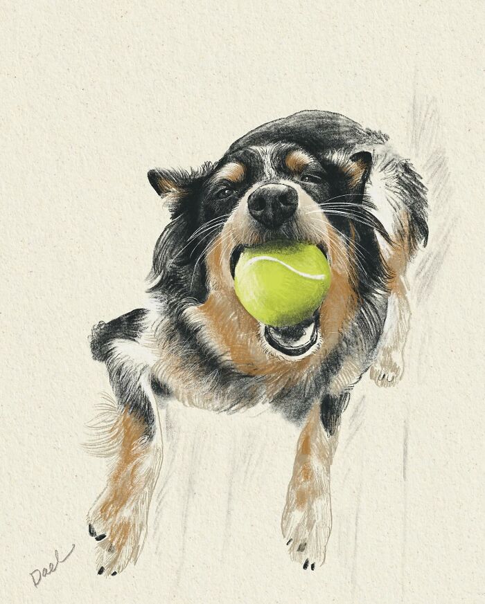 This Artist Draws Dog Portraits That Perfectly Capture Each Pet’s Personality (76 Pics)