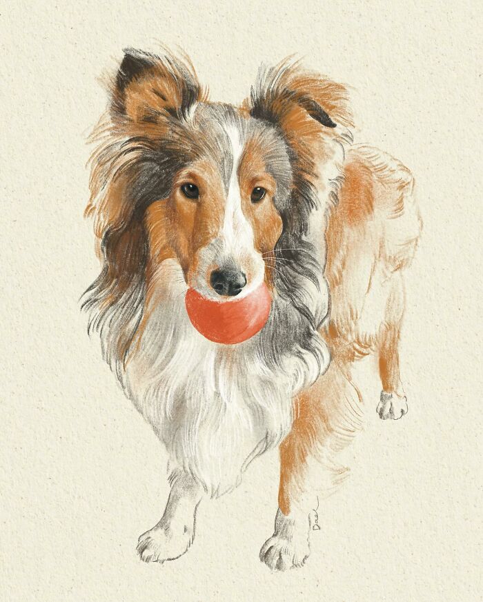 This Artist Draws Dog Portraits That Perfectly Capture Each Pet’s Personality (76 Pics)