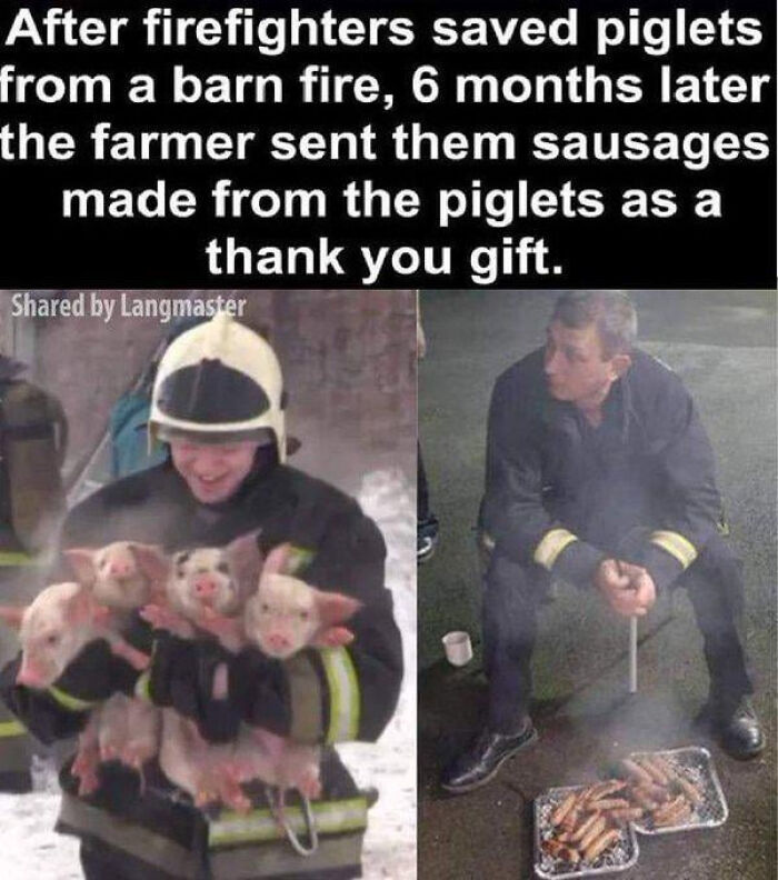 A blursed meme showing firefighters saving piglets, then eating sausages made from them.