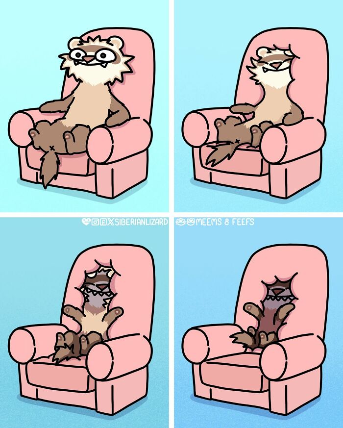 A comic strip showing a ferret gradually sinking into a pink armchair, illustrating funny situations with ferrets.