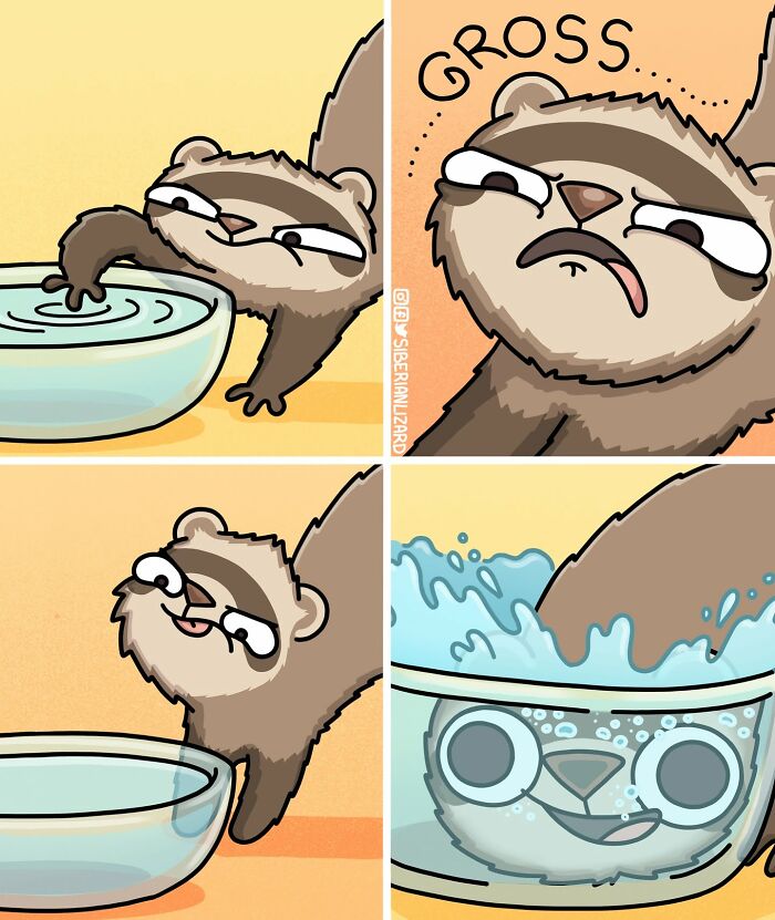 A comic strip showing one of the two ferrets making a mess in a water bowl, illustrating funny situations.
