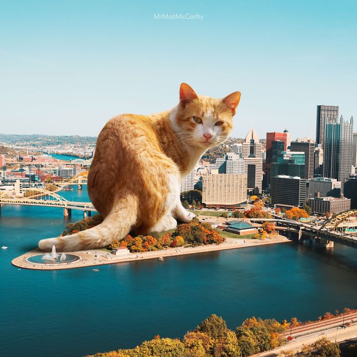 This Artist Imagines A World Where Giant Cats Rule Everything, And Here Are His 30 Newest Surreal Creations