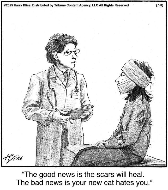 A New Yorker Magazine cartoonist's clever one-panel comic featuring a doctor and a bandaged patient.