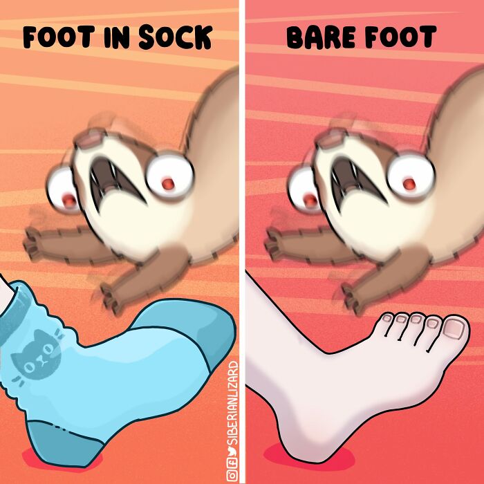 Funny ferrets reacting to a foot in a sock versus a bare foot, illustrating funny situations.