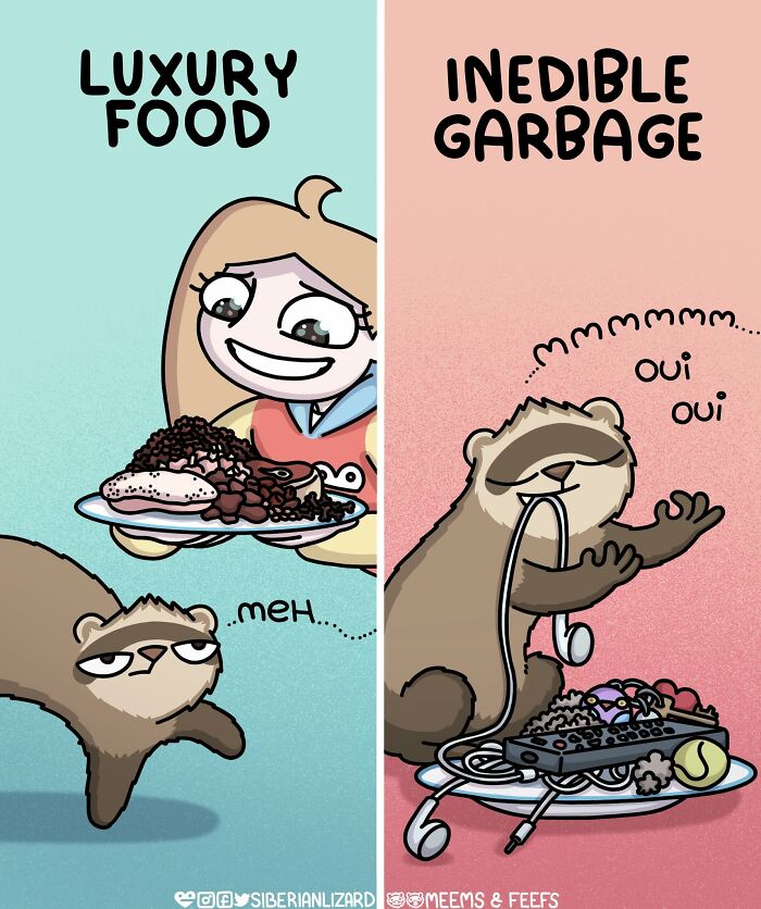 A Siberian girl cartoon showing funny ferrets preferring inedible garbage over luxury food.