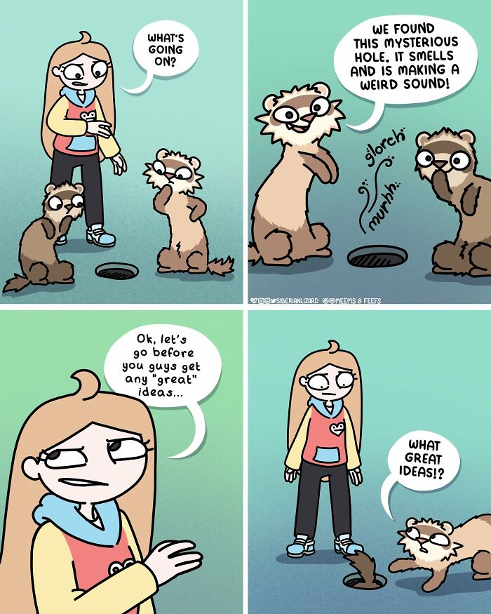 Siberian girl and her two ferrets discovering a mysterious hole, depicting funny daily life with pets.