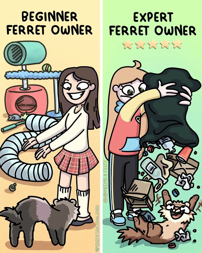 Siberian girl cartoon of a beginner ferret owner versus an expert ferret owner, showing funny situations.