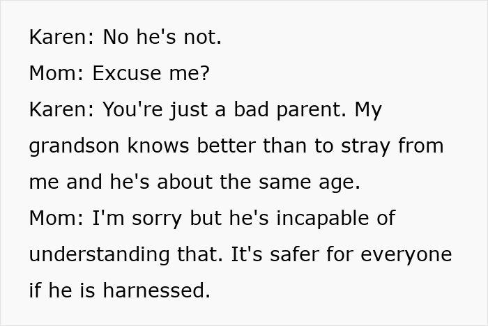 Argument over harness use on autistic kid and bad parenting claim