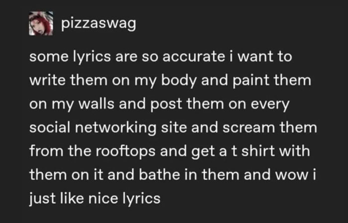 Meme about loving and sharing accurate song lyrics everywhere