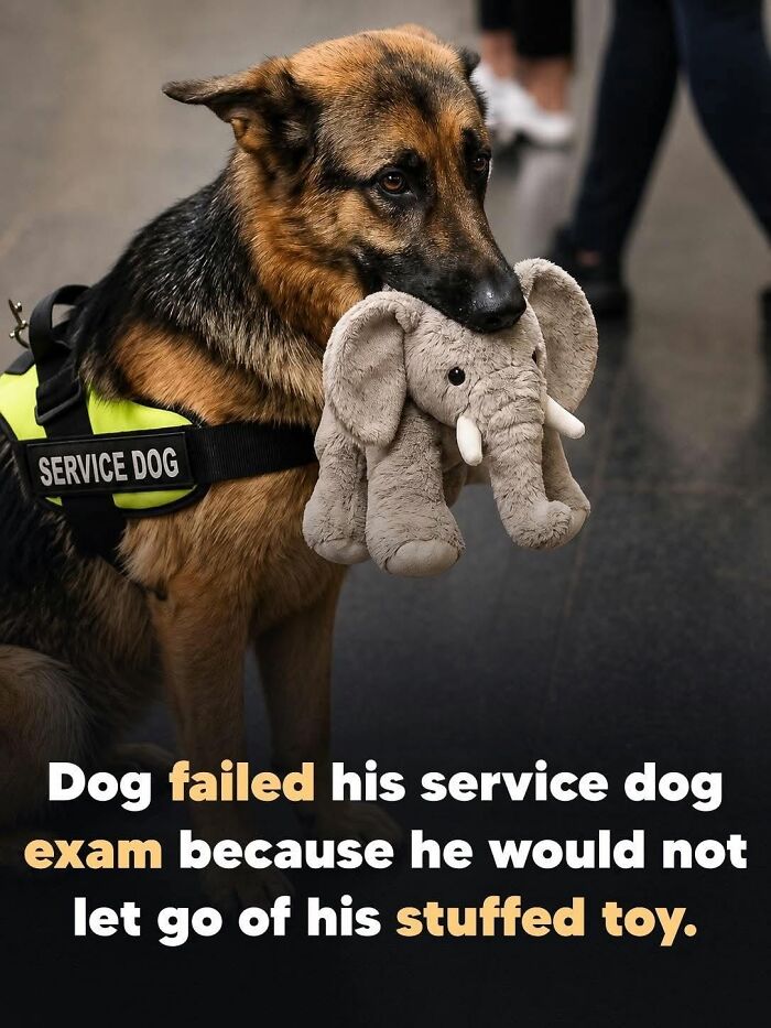 26 Animal Stories So Wholesome, They Might Just Be The Best Thing You See Today