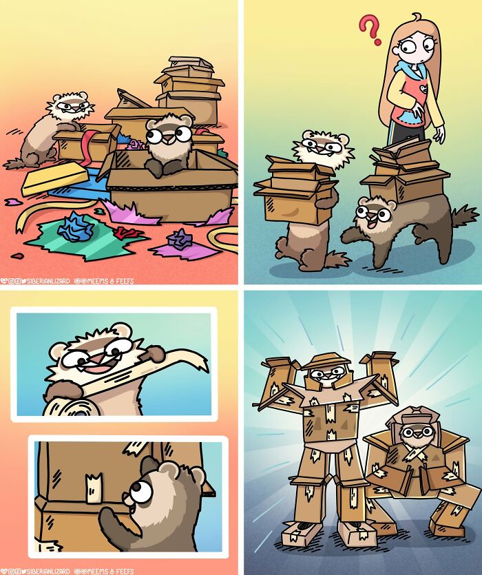 Siberian ferrets build cardboard armor, showcasing their funny situations and daily life with the girl.
