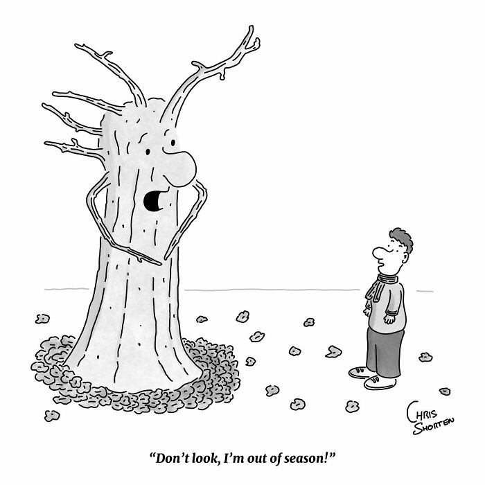 This Cartoonist Finds Humor In Everyday Absurdities, And Here Are 41 Of His Funniest Comics