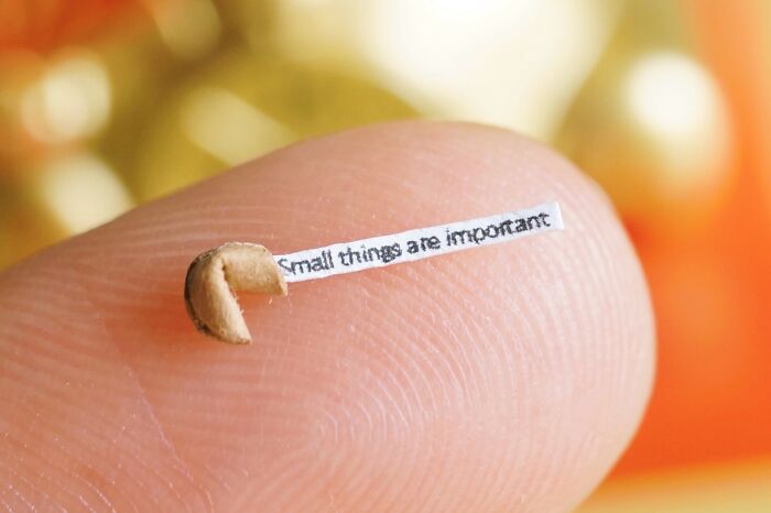 A close-up of a finger holding a miniature paper fortune cookie with the message Small things are important, highlighting immense detail.
