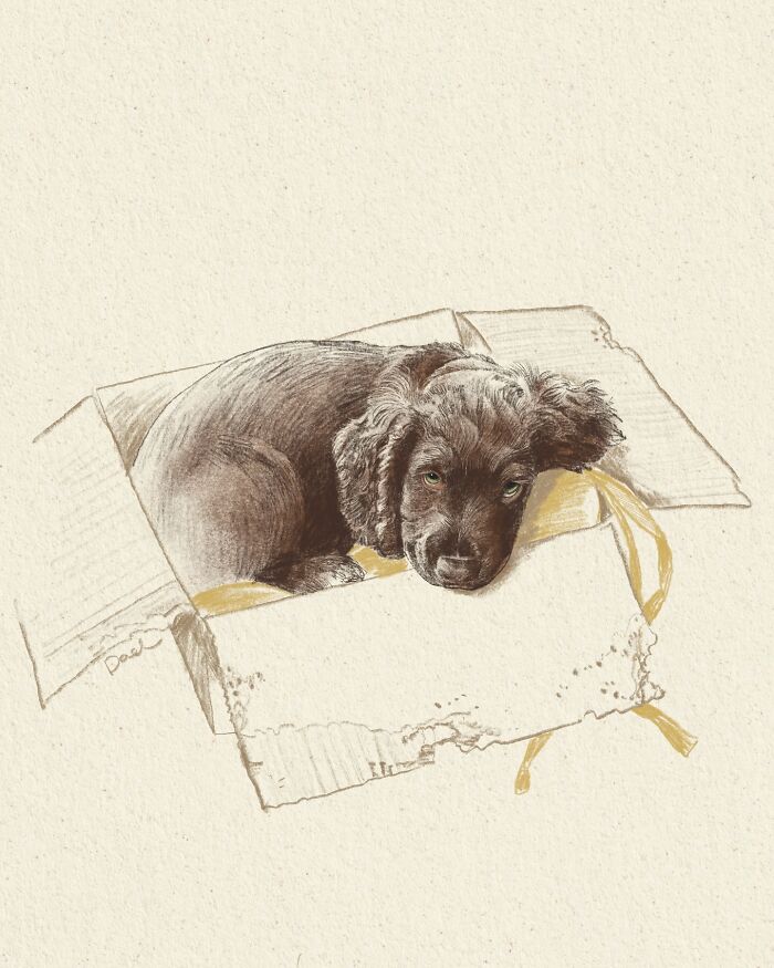 This Artist Draws Dog Portraits That Perfectly Capture Each Pet’s Personality (76 Pics)