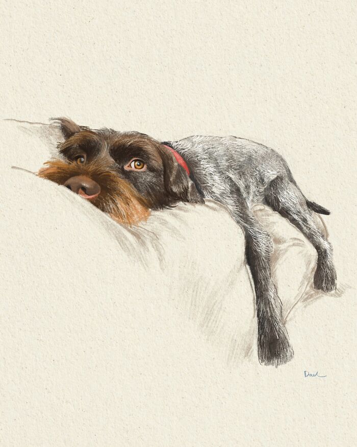 This Artist Draws Dog Portraits That Perfectly Capture Each Pet’s Personality (76 Pics)