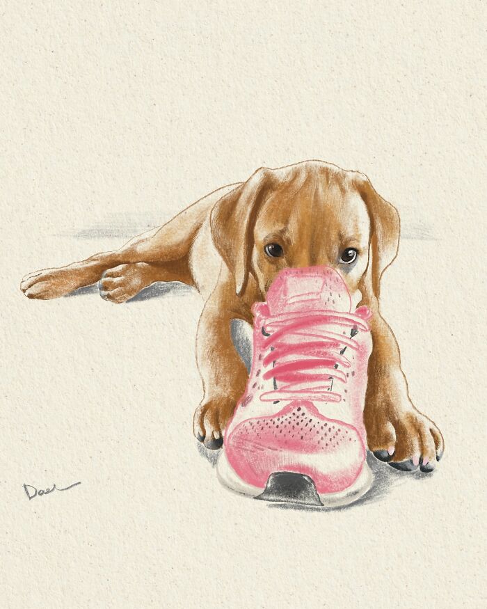 This Artist Draws Dog Portraits That Perfectly Capture Each Pet’s Personality (76 Pics)