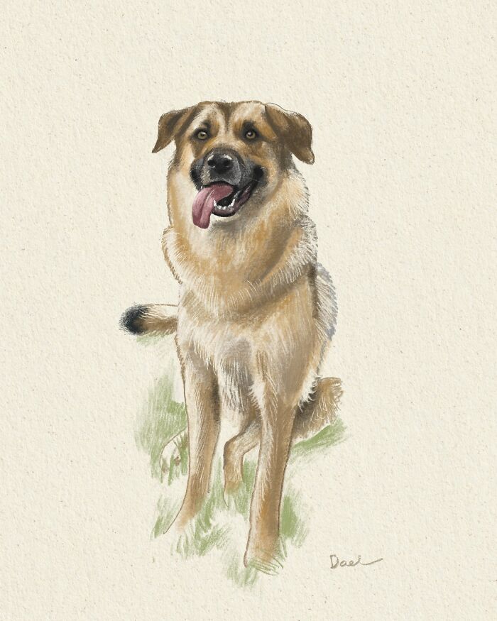 This Artist Draws Dog Portraits That Perfectly Capture Each Pet’s Personality (76 Pics)
