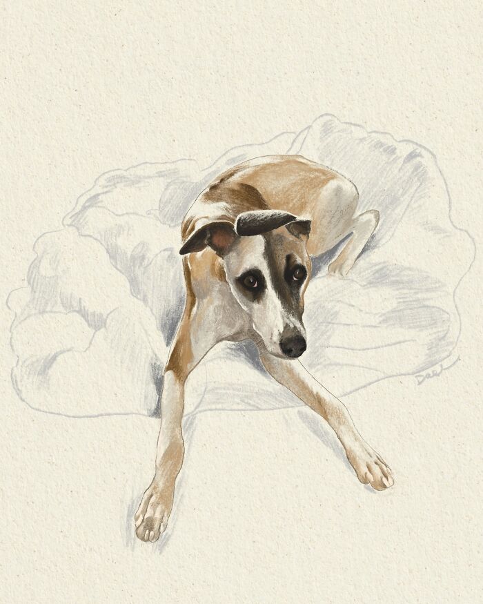 This Artist Draws Dog Portraits That Perfectly Capture Each Pet’s Personality (76 Pics)