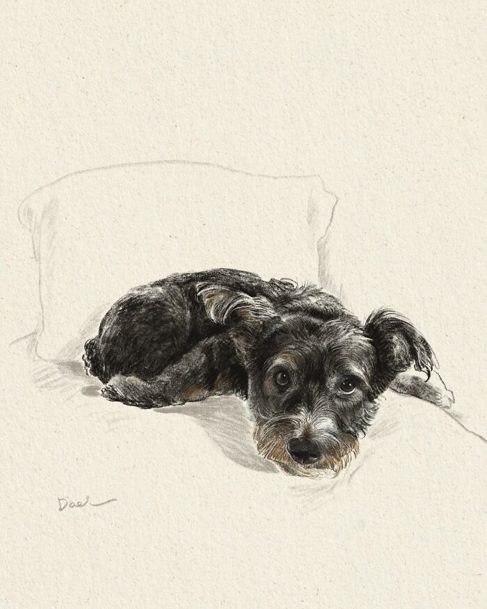 This Artist Draws Dog Portraits That Perfectly Capture Each Pet’s Personality (76 Pics)