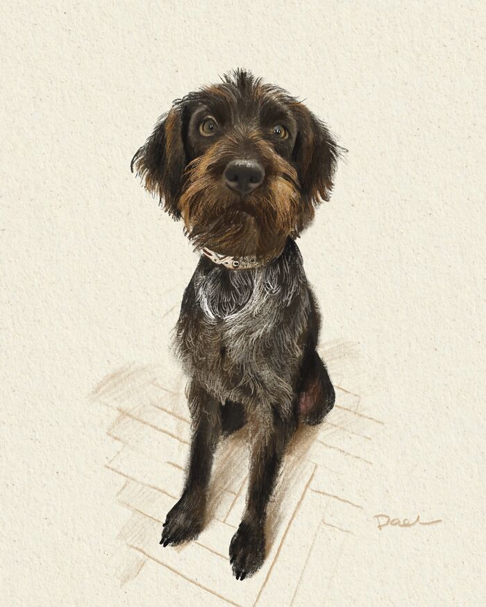 This Artist Draws Dog Portraits That Perfectly Capture Each Pet’s Personality (76 Pics)