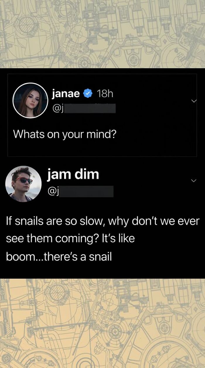A humorous exchange about snails being slow, but hard to see coming, illustrating funny comments.