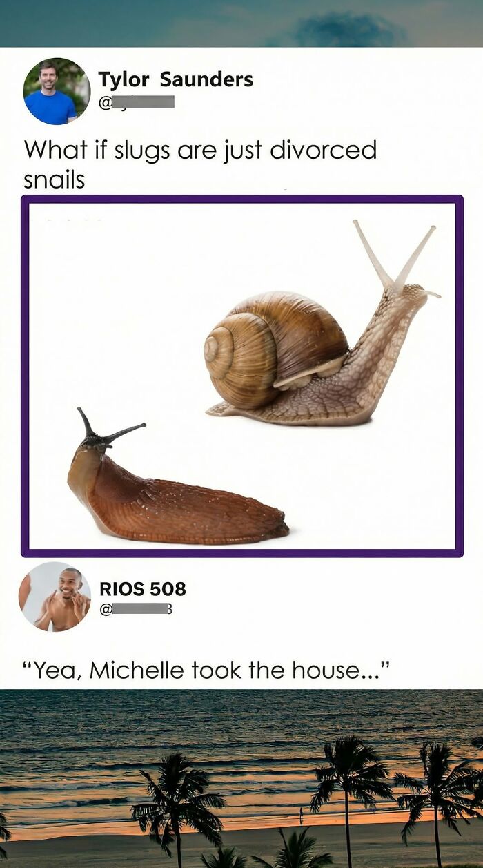 A funny comment on Twitter showing a snail and a slug, suggesting slugs are divorced snails.