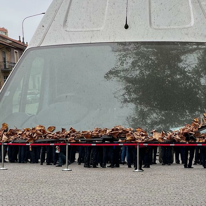 Fontanesi