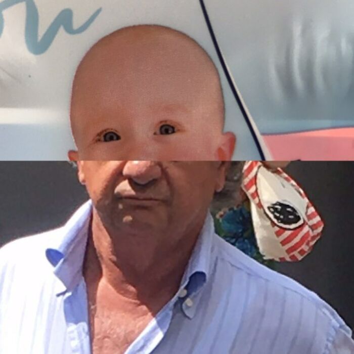 Fontanesi