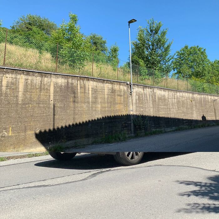 Fontanesi