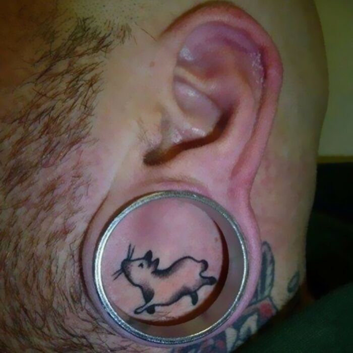 A hilarious tattoo fail: a small rat tattoo placed inside an extreme earlobe stretching tunnel, a unique body canvas.