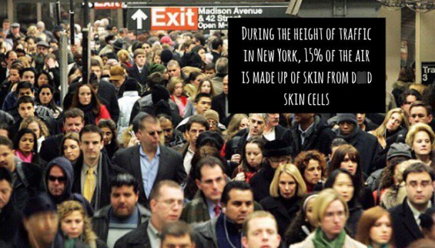 A crowded New York street with text about terrifying facts and horror stories of d**d skin cells.