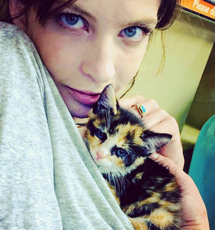 Daveigh Chase, the Lilo & Stitch actress, holding a small calico kitten. Daveigh Chase, the Lilo & Stitch actress, holding a small calico kitten.