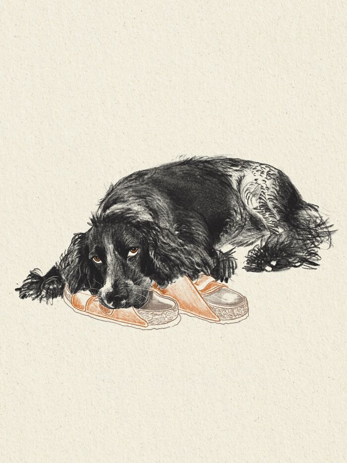 This Artist Draws Dog Portraits That Perfectly Capture Each Pet’s Personality (76 Pics)