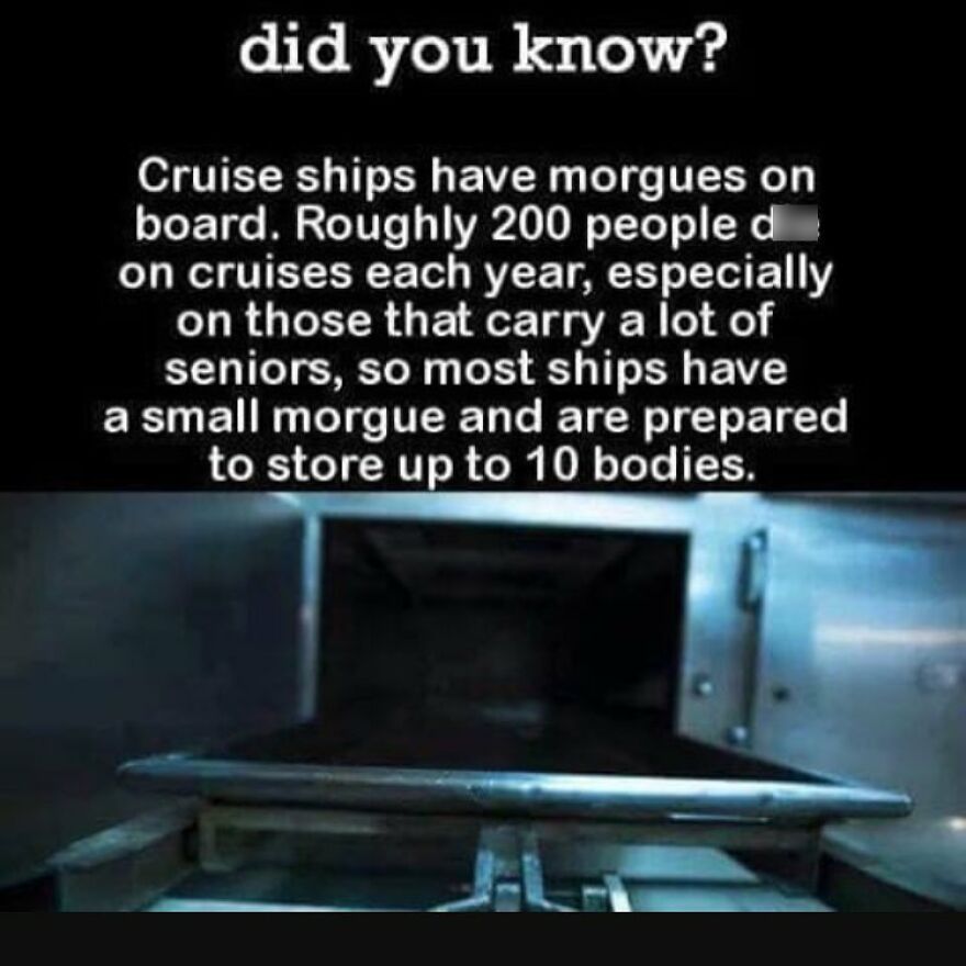 An open morgue drawer, a terrifying fact about cruise ship morgues and horror stories.