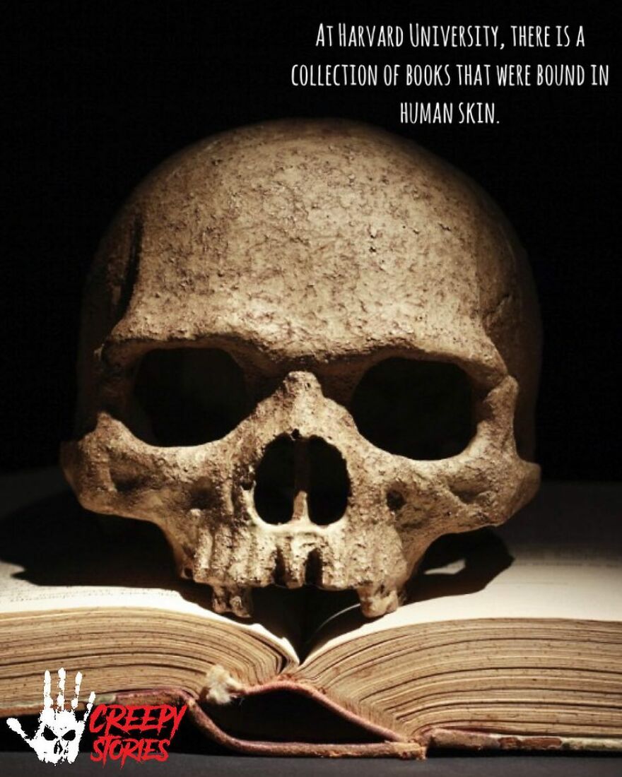 A human skull resting on an open book, symbolizing a terrifying fact and horror story.