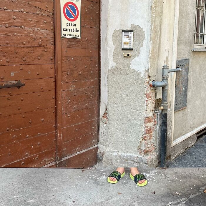 Fontanesi