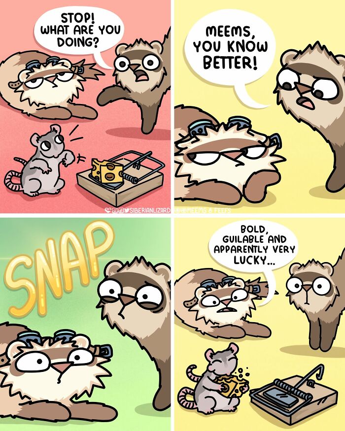 A four-panel comic about a Siberian girl and her two ferrets, illustrating funny situations with a mouse and mousetrap.