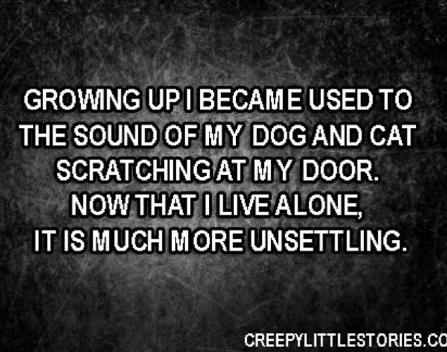 A terrifying fact: the unsettling sound of scratching at the door when living alone, a horror story that keeps people awake.