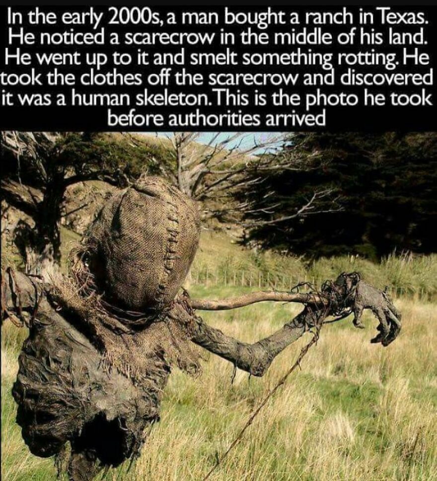 A creepy scarecrow made of burlap and decaying material in a field. Terrifying facts, horror stories.