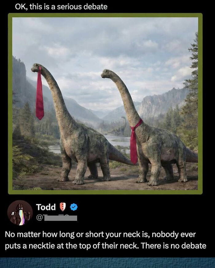 A funny comment about two dinosaurs wearing neckties, debating the proper placement of a necktie.