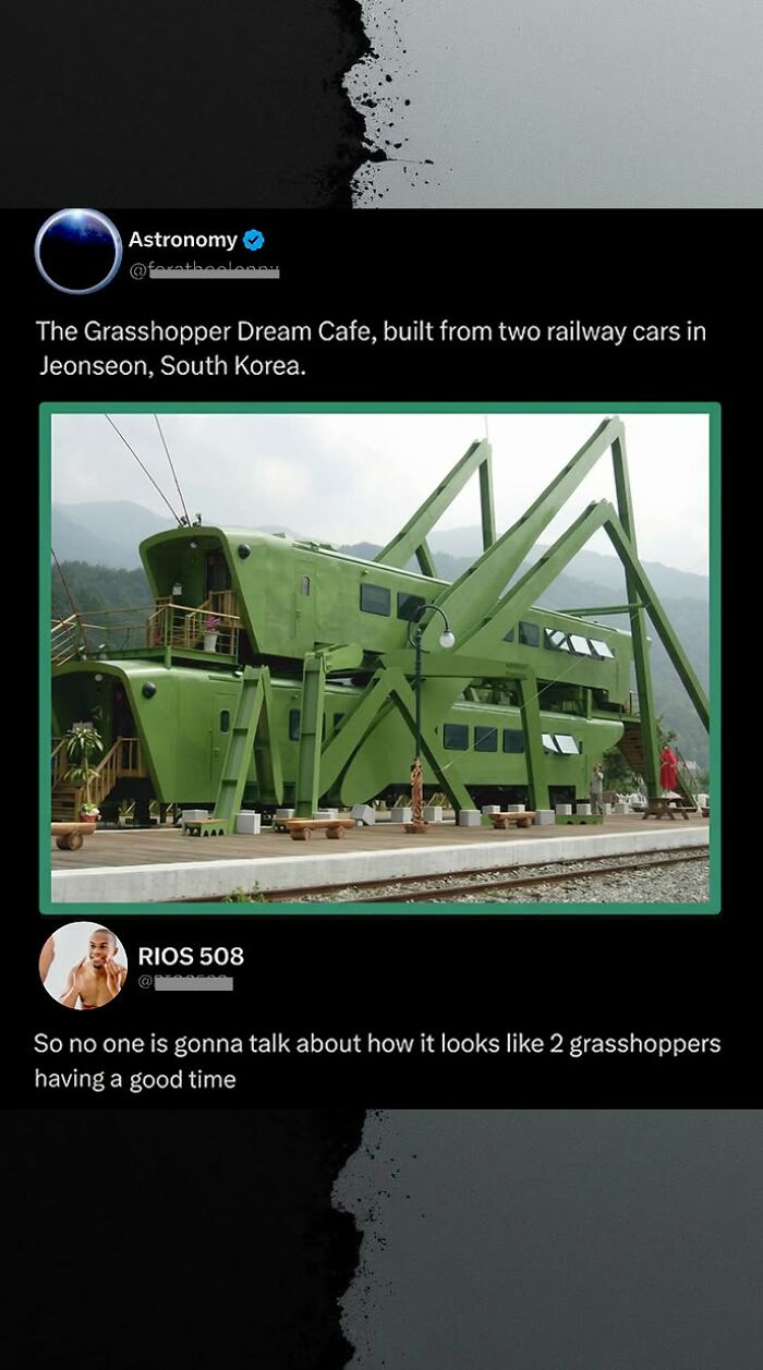 A funny comment about a cafe built from two railway cars shaped like grasshoppers in South Korea.