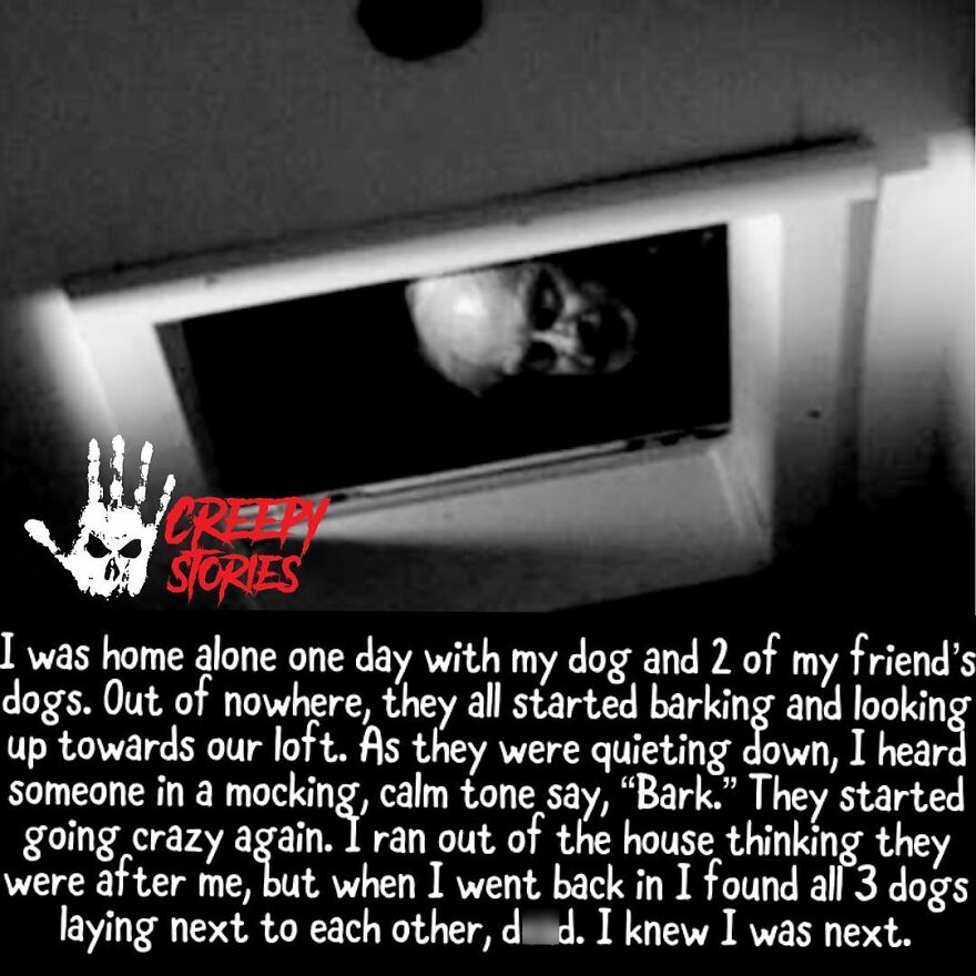 A terrifying ghostly face peering from a vent, perfect for a horror story.