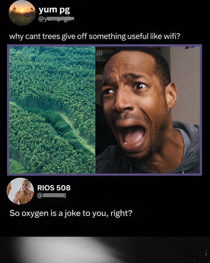A tweet questioning trees providing wifi instead of oxygen, generating funny comments and posts.
