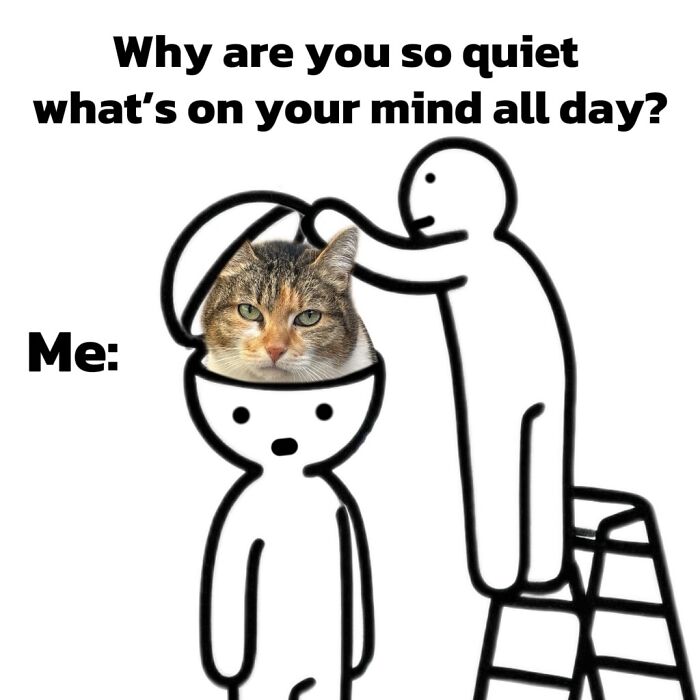 Catscouple-Making-Memes-Mrsmiuki