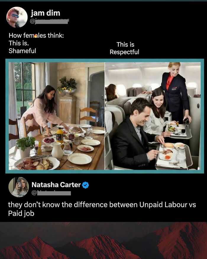 Images comparing unpaid labor to a paid job with great comments, funnier than the original posts.