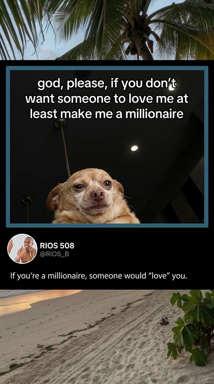 A social media post featuring a great comment from a Chihuahua meme, making the original posts funnier.