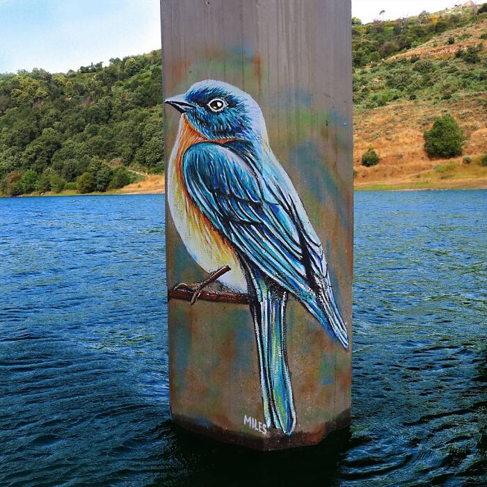 Street Art