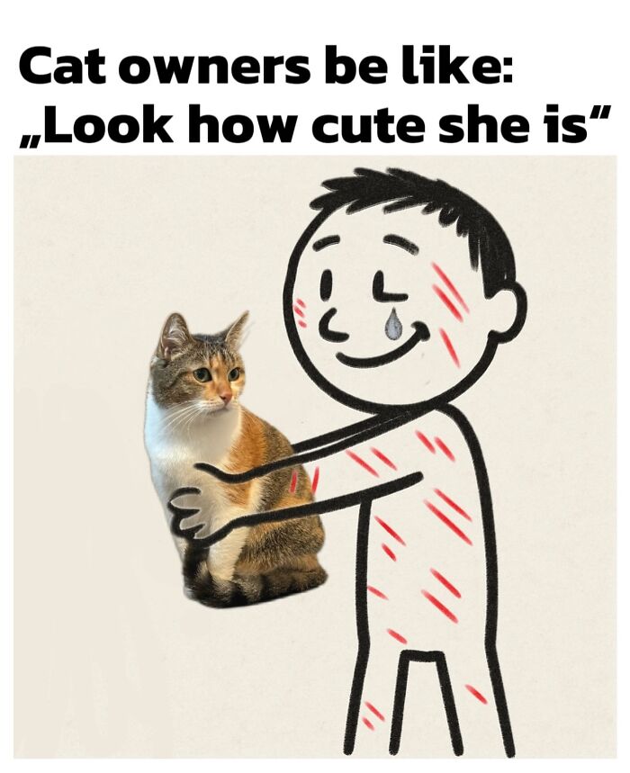 Catscouple-Making-Memes-Mrsmiuki